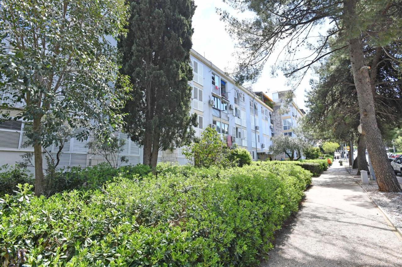 Demass Apartment - Cozy, Free Parking And Wifi 杜布罗夫尼克 外观 照片