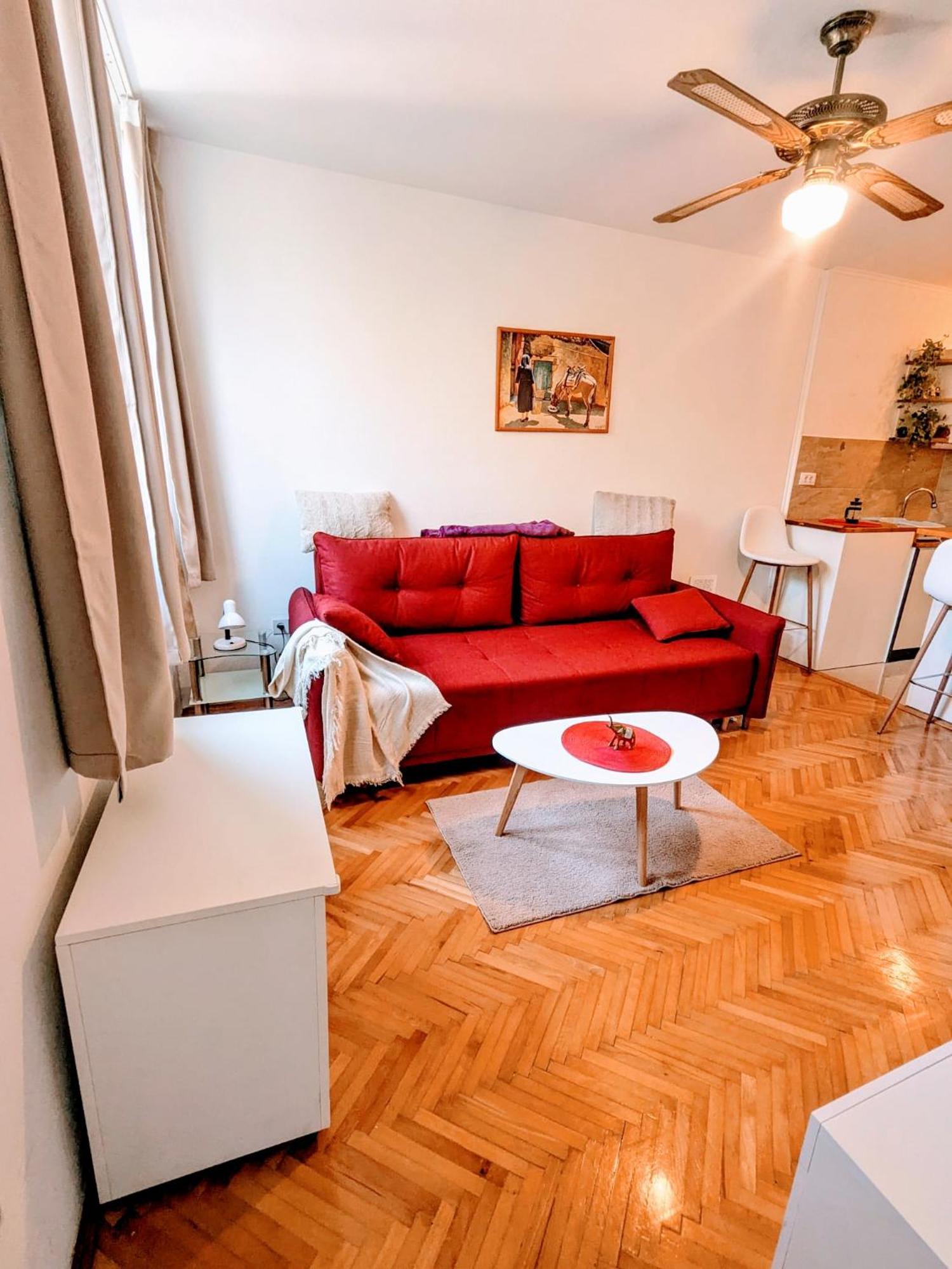 Demass Apartment - Cozy, Free Parking And Wifi 杜布罗夫尼克 外观 照片