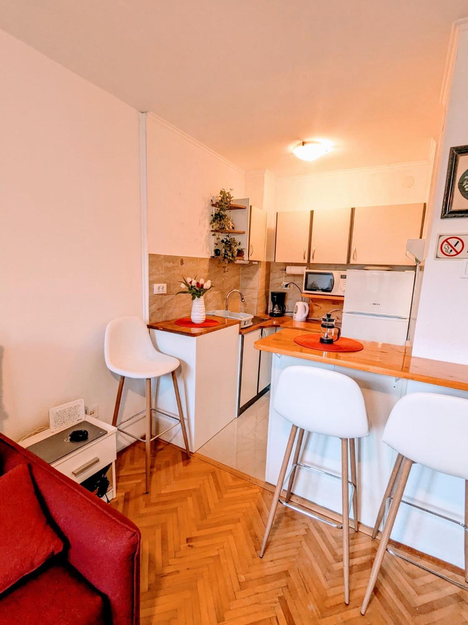 Demass Apartment - Cozy, Free Parking And Wifi 杜布罗夫尼克 外观 照片