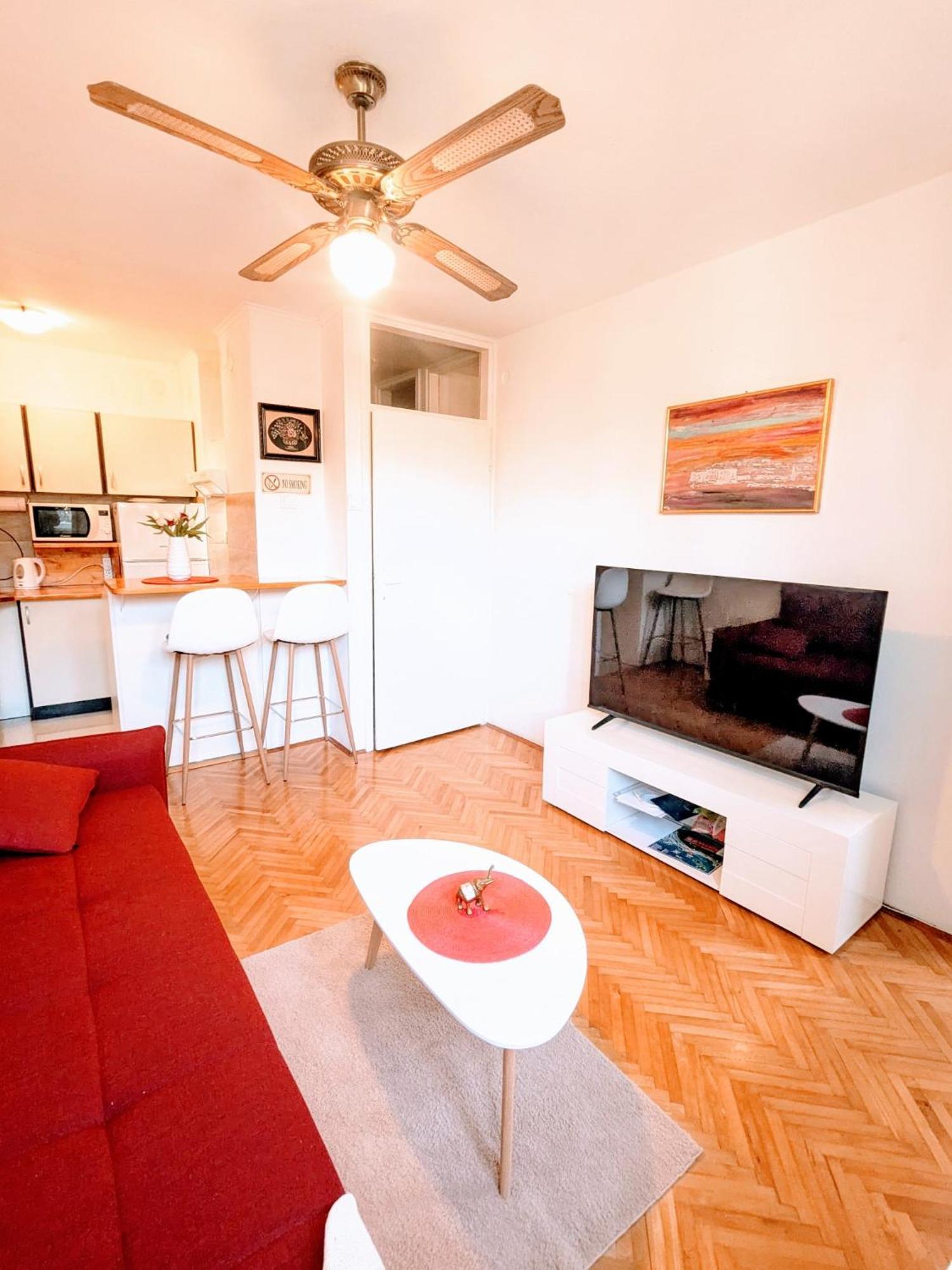 Demass Apartment - Cozy, Free Parking And Wifi 杜布罗夫尼克 外观 照片