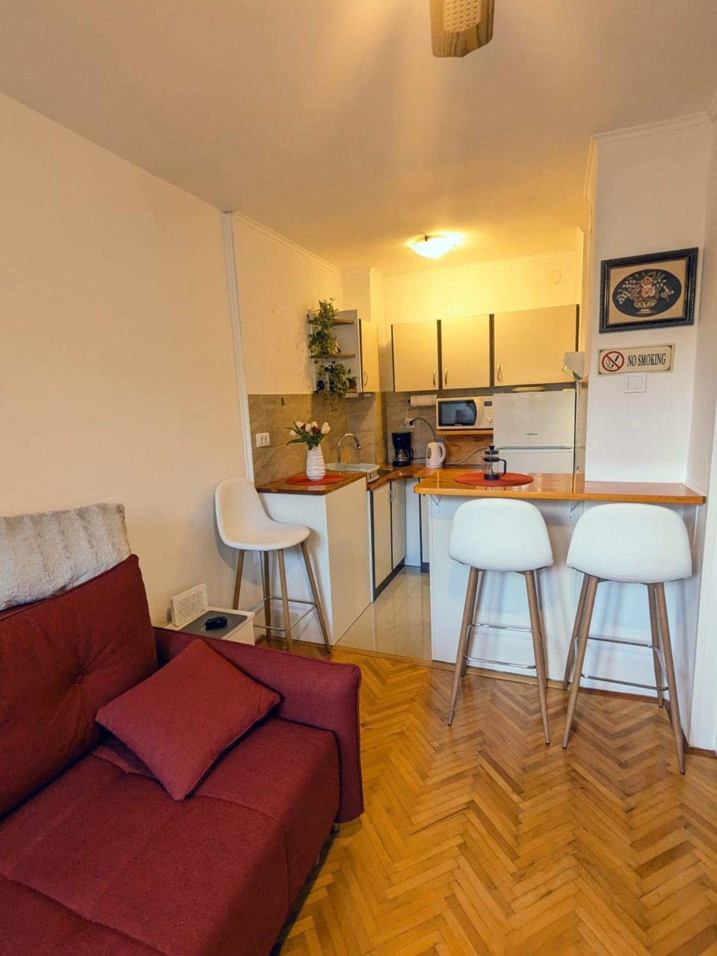 Demass Apartment - Cozy, Free Parking And Wifi 杜布罗夫尼克 外观 照片