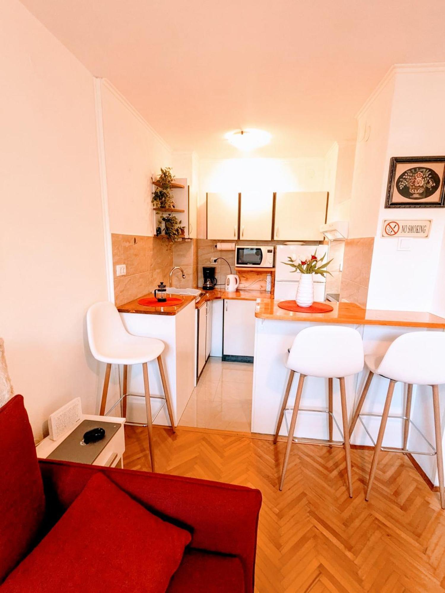 Demass Apartment - Cozy, Free Parking And Wifi 杜布罗夫尼克 外观 照片